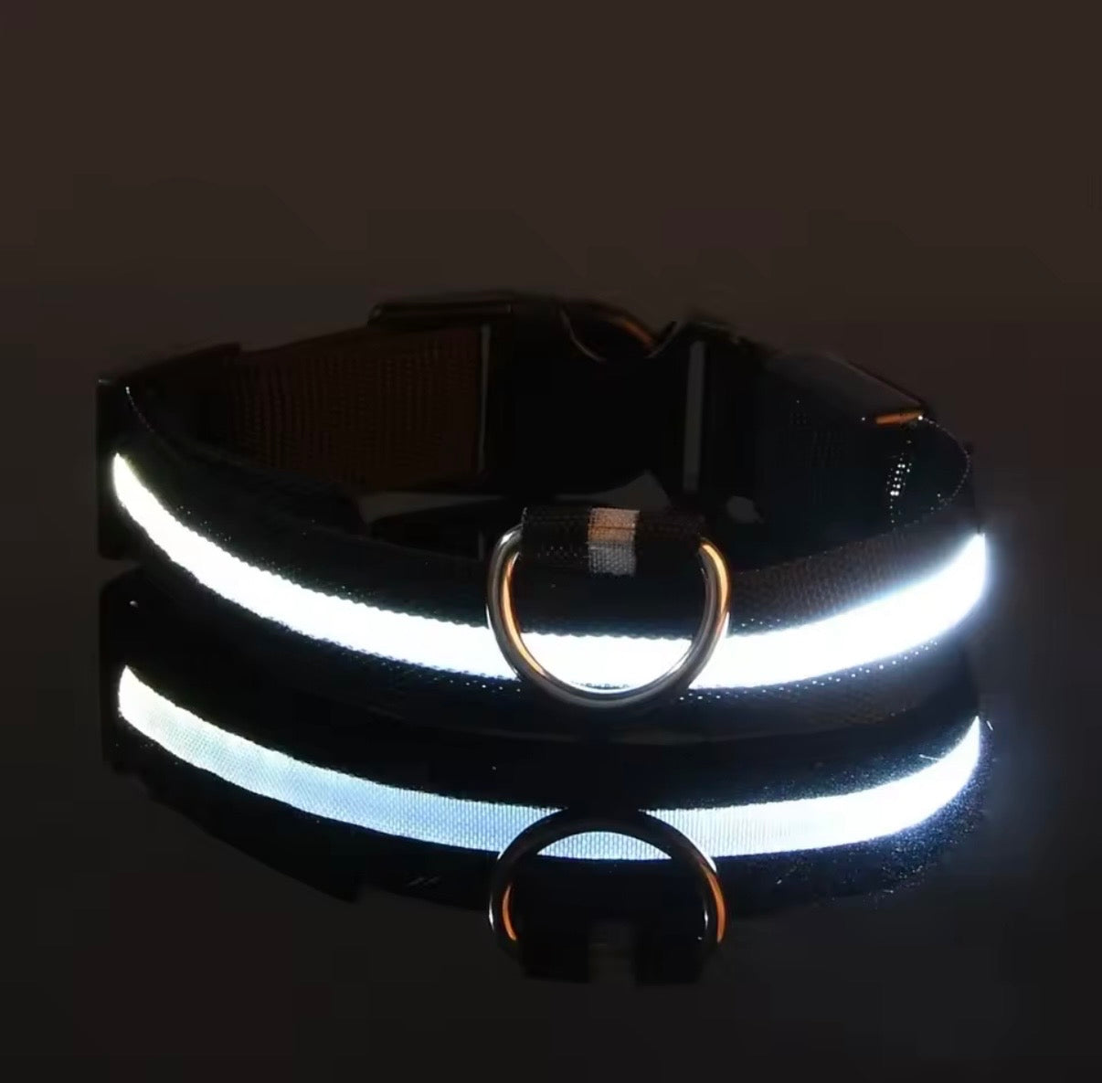 LED Halsband