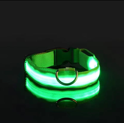 LED Halsband