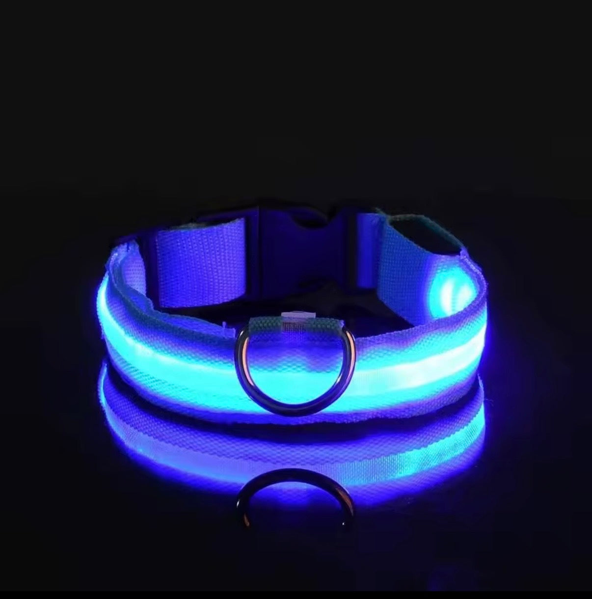 LED Halsband