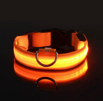 LED Halsband